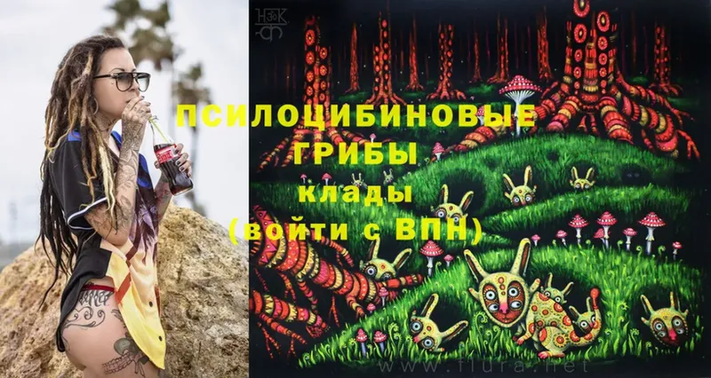 Галлюциногенные грибы Psilocybine cubensis  Ипатово 